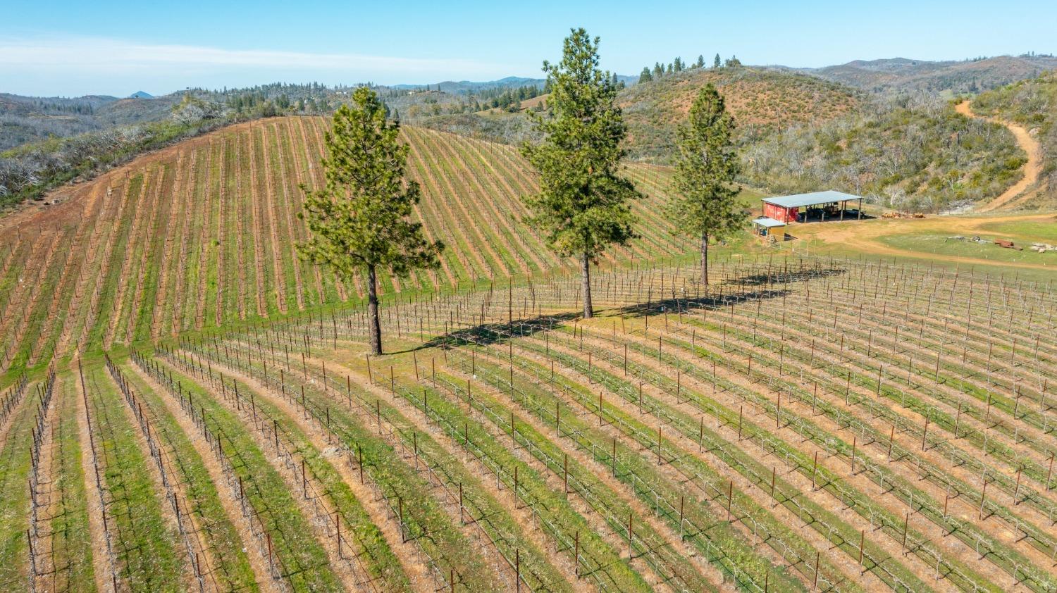 7005 Mountain Ranch Road Mountain Ranch, CA 95246 - Photo 78 of 90 Gallery Image 78