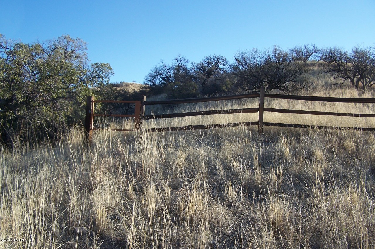 175 Wood Canyon Road Patagonia, AZ 85624 - Photo 36 of 47