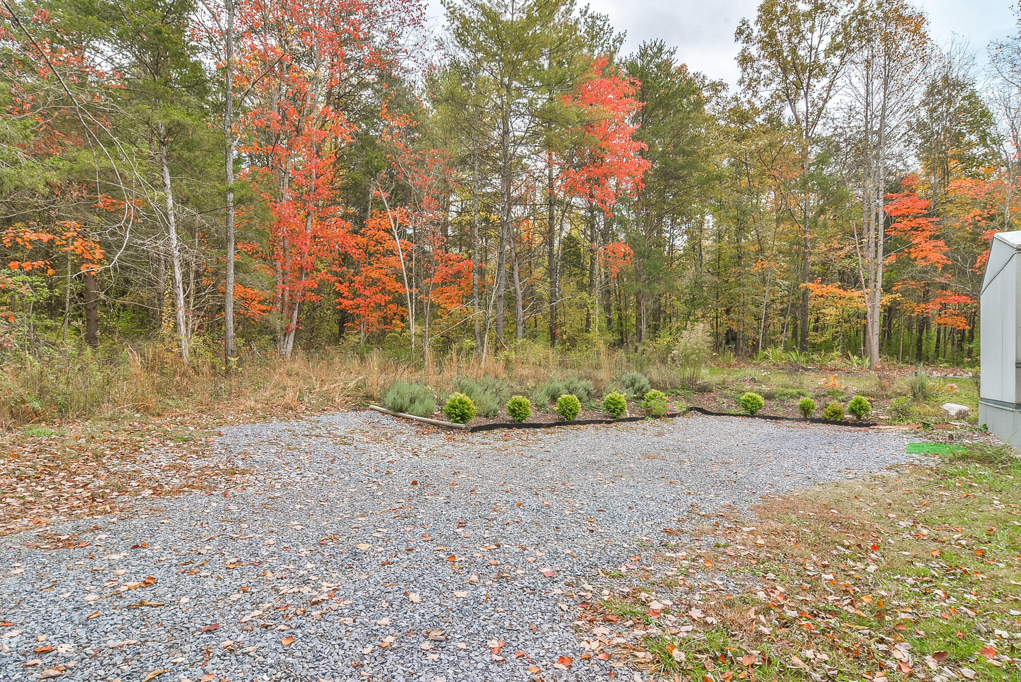 2767 Watauga Road Johnson City, TN 37601 - Photo 2 of 35 TRB_9760