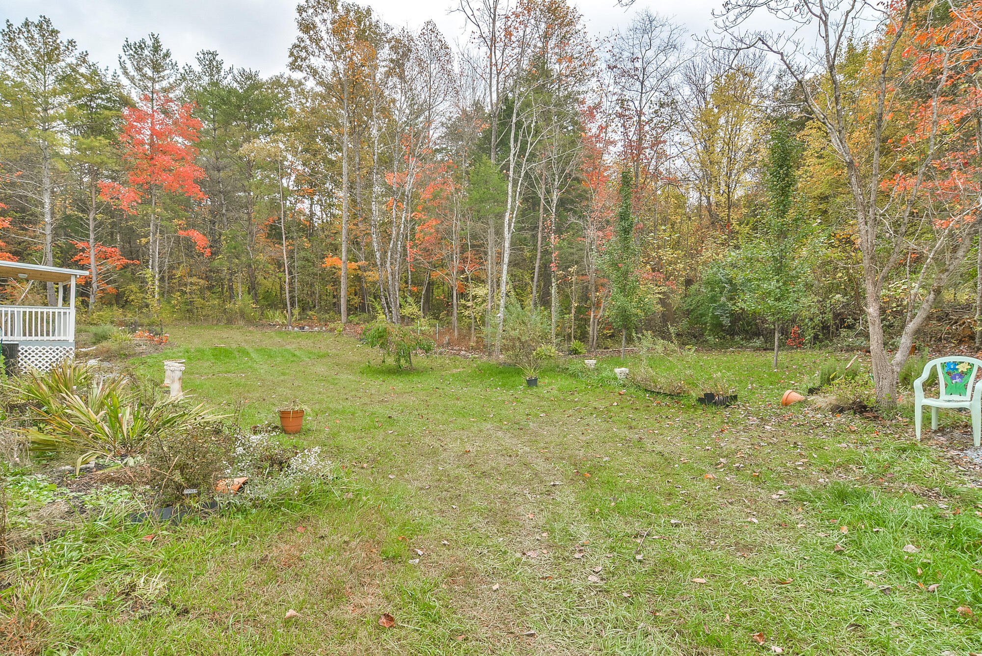 2767 Watauga Road Johnson City, TN 37601 - Photo 7 of 35 TRB_9765