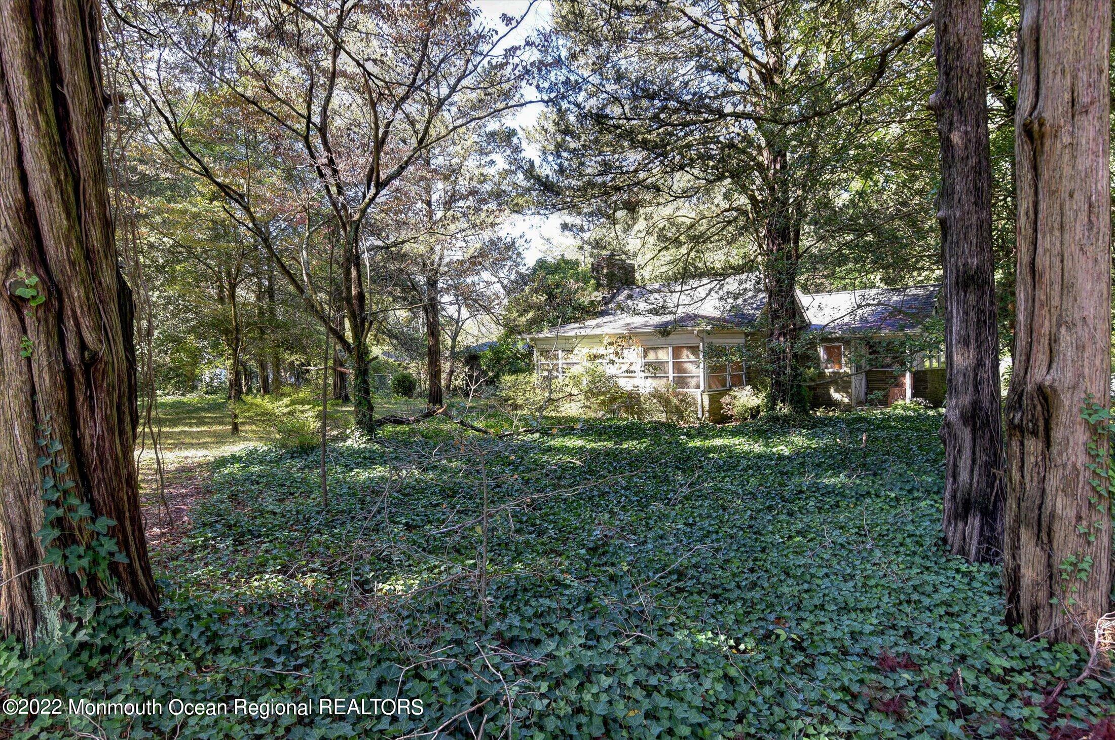 844 Monmouth Road Cream Ridge, NJ 08514 - Photo 3 of 11 a view of a trees with a yard