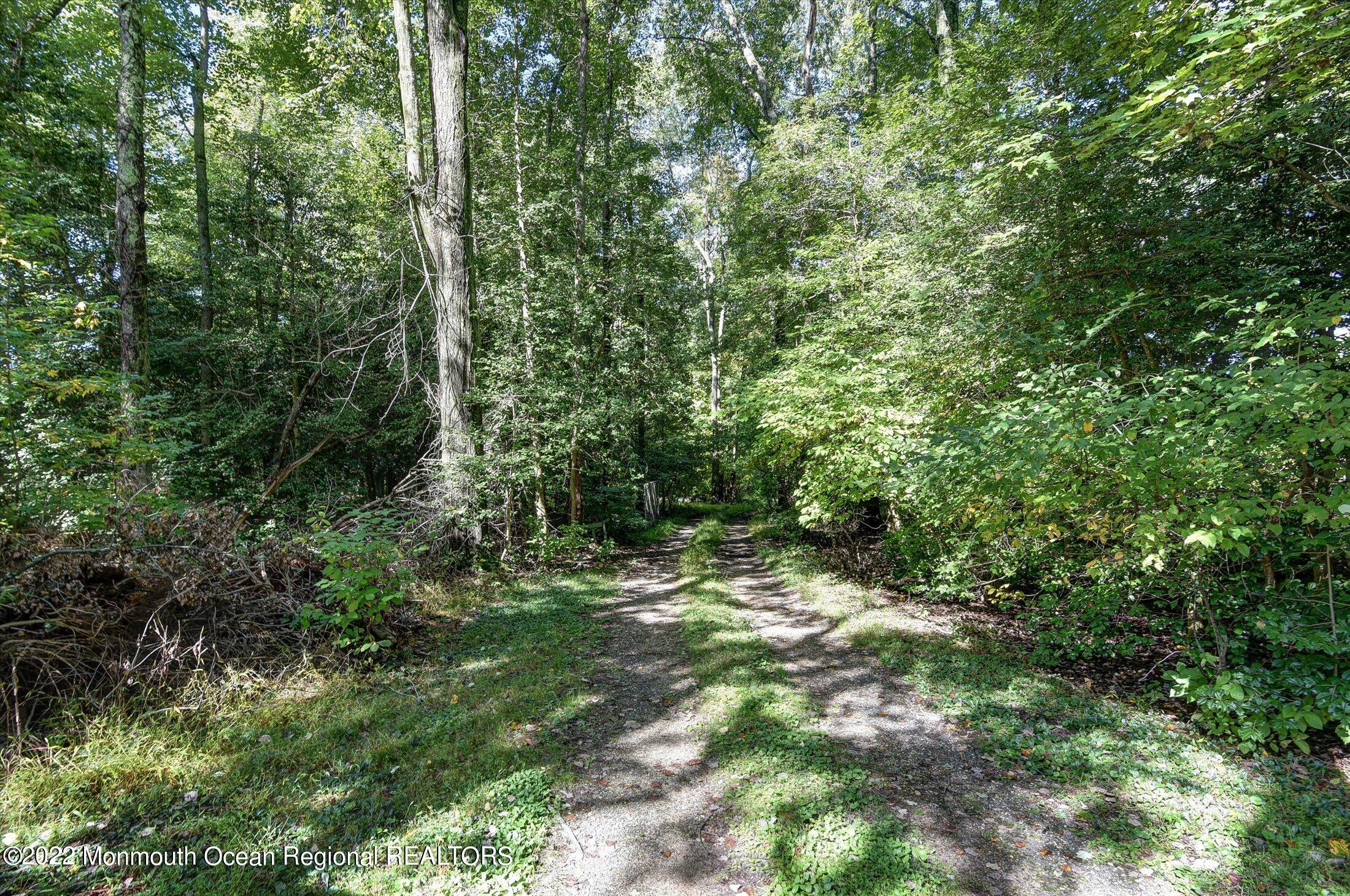 844 Monmouth Road Cream Ridge, NJ 08514 - Photo 10 of 11 a view of a forest with trees in the background