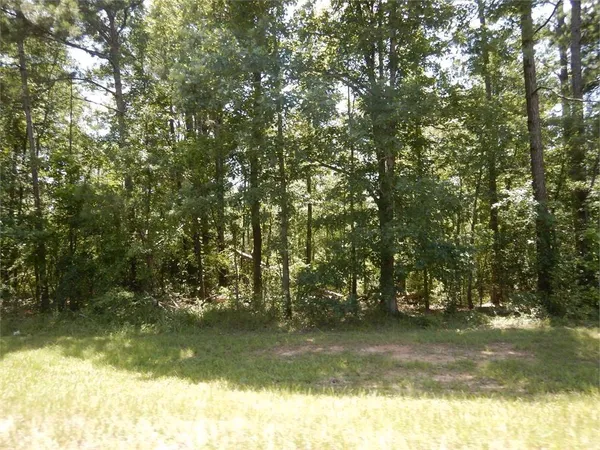 $30,000 | 2771 Carey Station Road, Greensboro, GA 30642