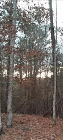 $30,000 | 2771 Carey Station Road, Greensboro, GA 30642