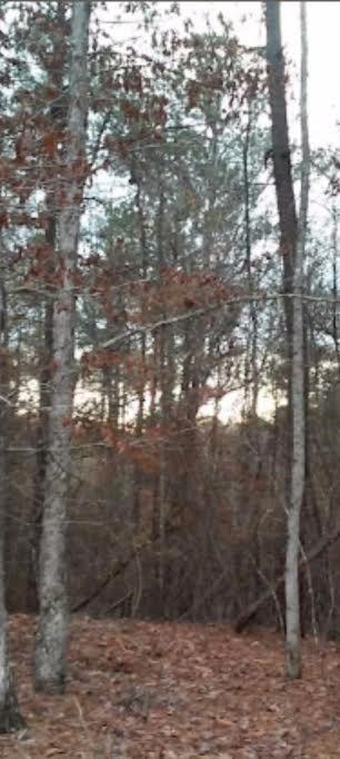 2771 Carey Station Road Greensboro, GA 30642 - Photo 5 of 7