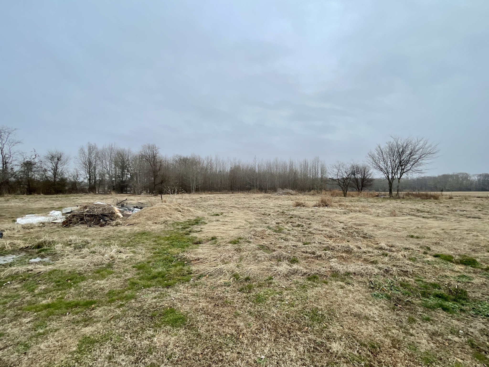 136 Scott Orchard Road Taft, TN 38488 - Photo 28 of 29 a view of ocean and trees