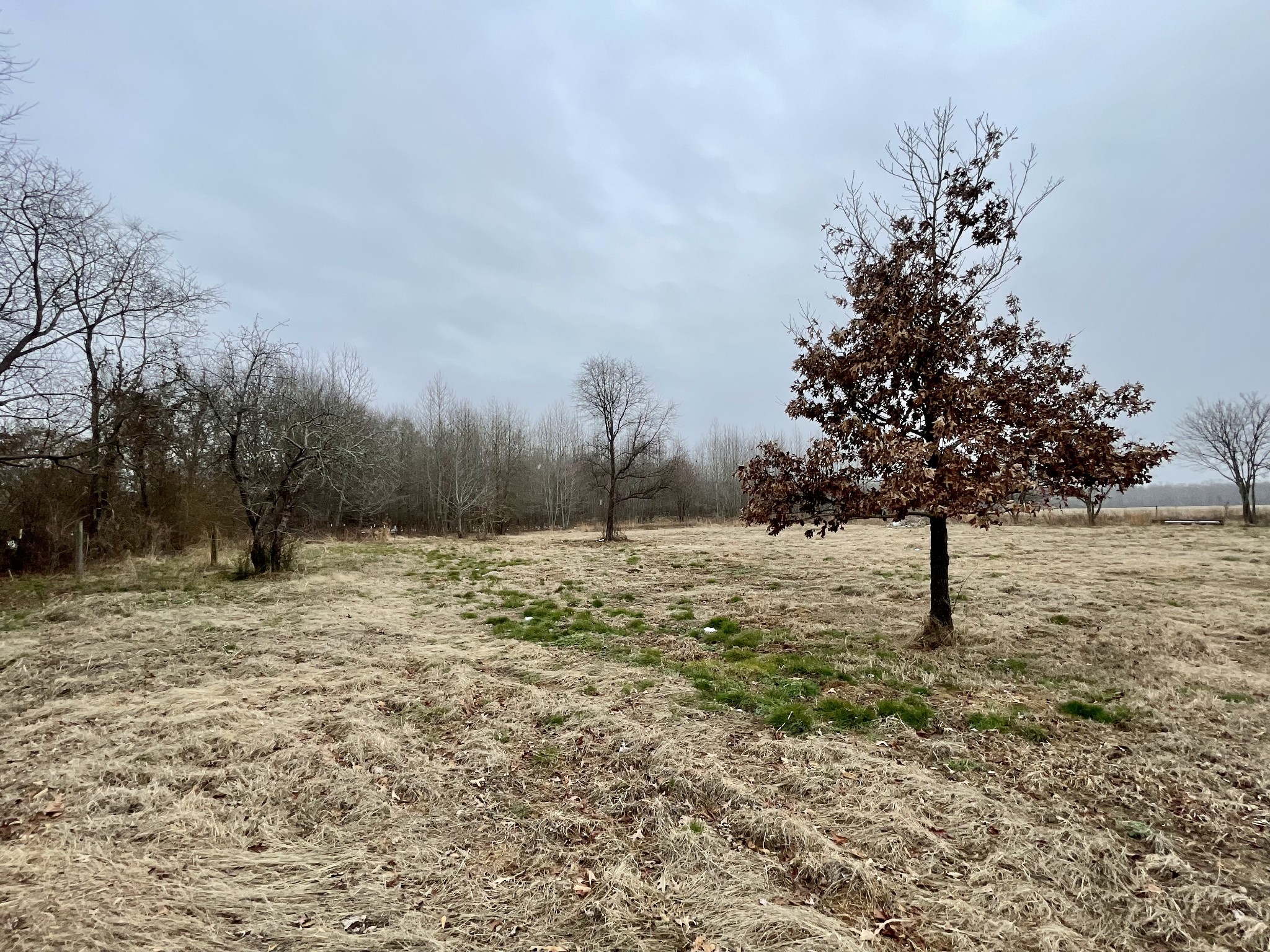 136 Scott Orchard Road Taft, TN 38488 - Photo 3 of 29 a white house that has a tree in front of it