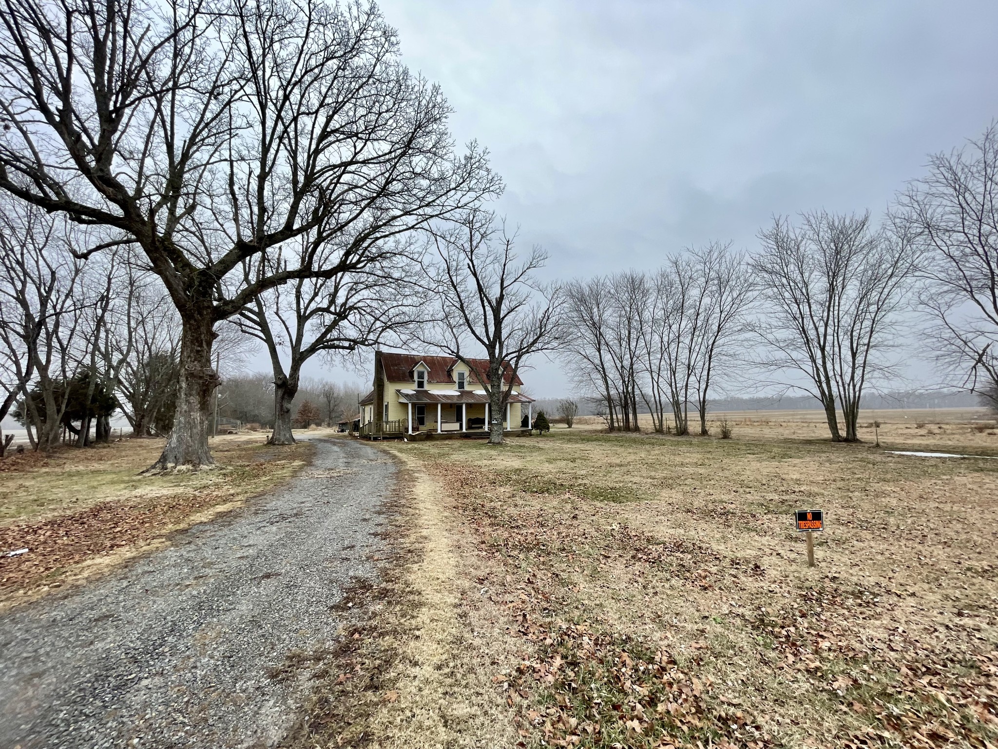 136 Scott Orchard Road Taft, TN 38488 - Photo 7 of 29 a house with trees in front of it