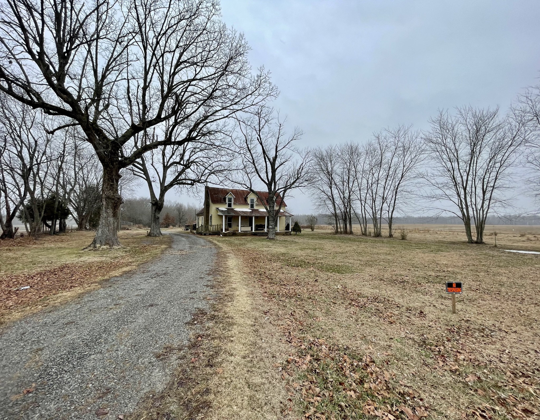 136 Scott Orchard Road Taft, TN 38488 - Photo 8 of 29 a view of road with trees