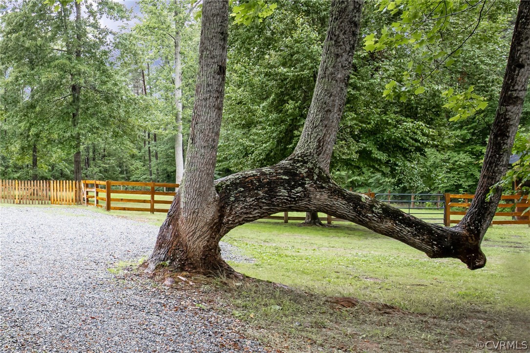 3397 Smokey Road Aylett, VA 23009 - Photo 28 of 28 Gallery Image 28