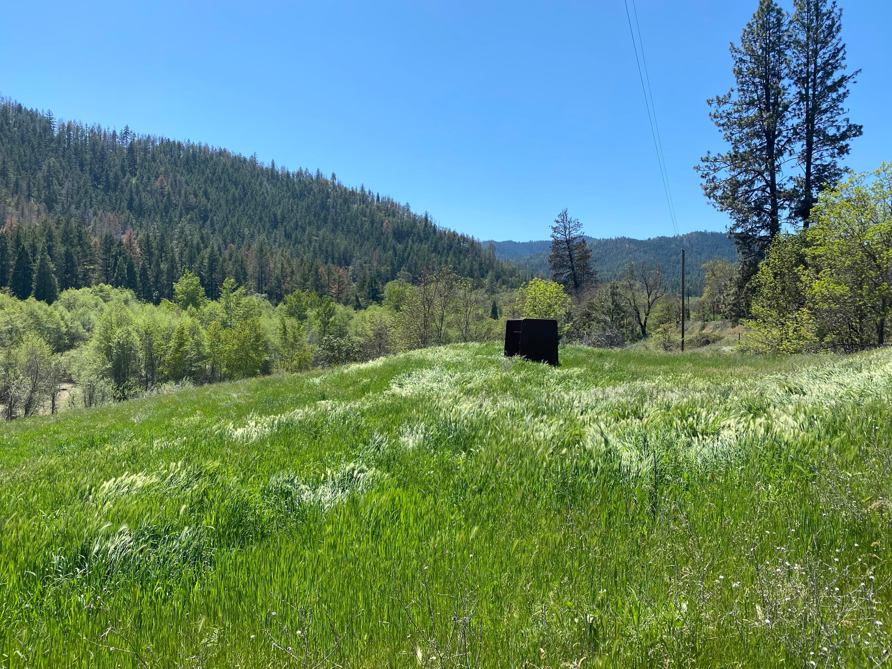 North Applegate Road Jacksonville, OR 97530 - Photo 12 of 51 upper rolling pasture