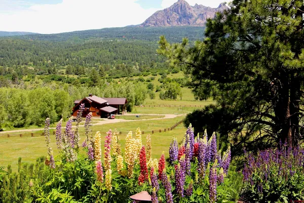 a view of a lake with a house in the background