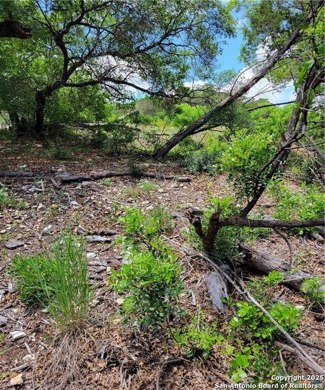 1745 Tbd Private Road Mico, TX 78056 - Photo 3 of 4 a backyard of a house with lots of green space