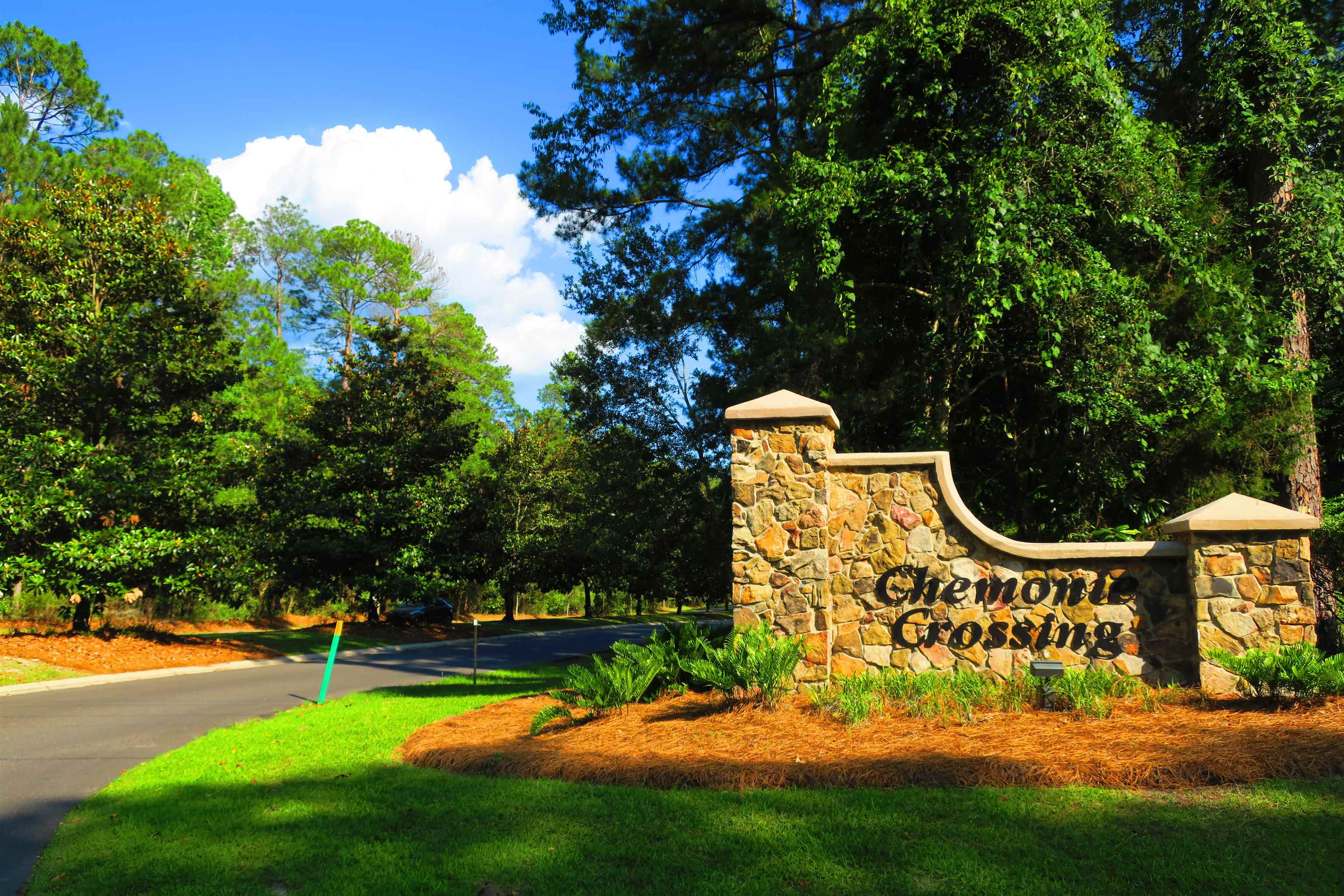 9093 Old Chemonie Road Tallahassee, FL 32309 - Photo 49 of 49
