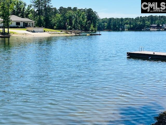 1072 Vansant Road Leesville, SC 29070 - Photo 3 of 46