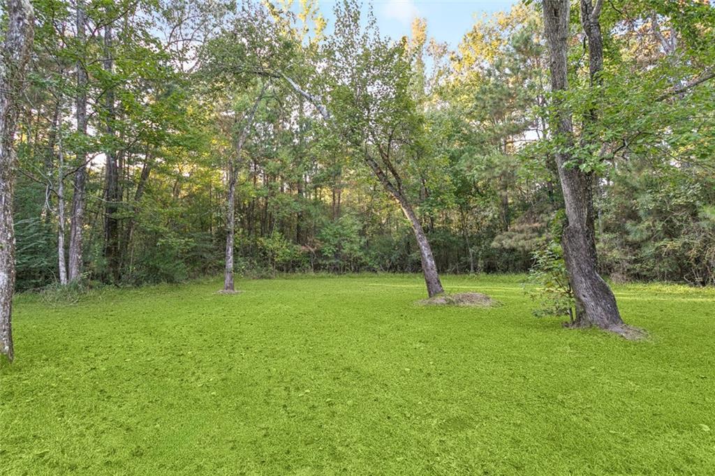 76233 Green Valley Road Folsom, LA 70437 - Photo 14 of 16