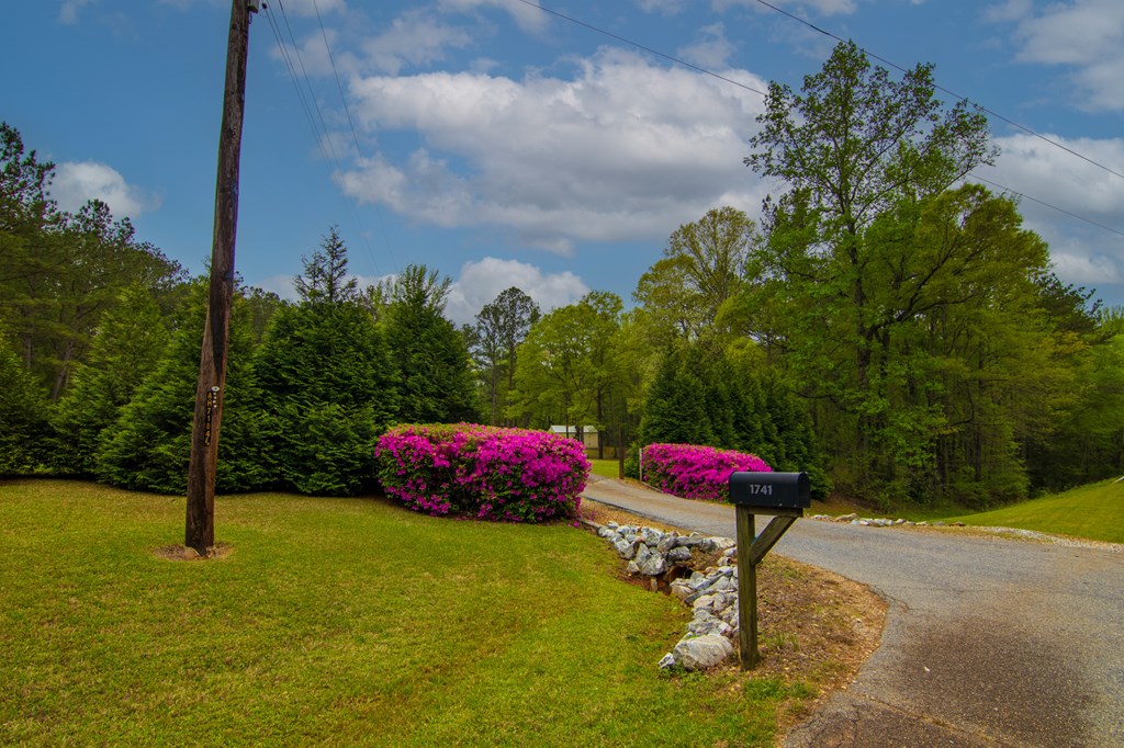 1741 Lower Blue Springs Road Hamilton, GA 31811 - Photo 3 of 94 Gallery Image 3