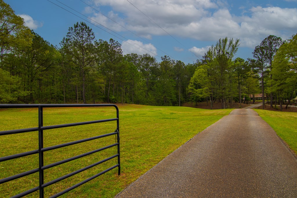 1741 Lower Blue Springs Road Hamilton, GA 31811 - Photo 4 of 94 Gallery Image 4