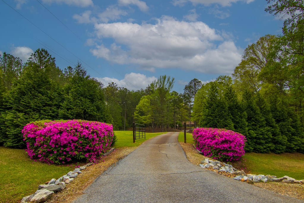 1741 Lower Blue Springs Road Hamilton, GA 31811 - Photo 5 of 94 Gallery Image 5