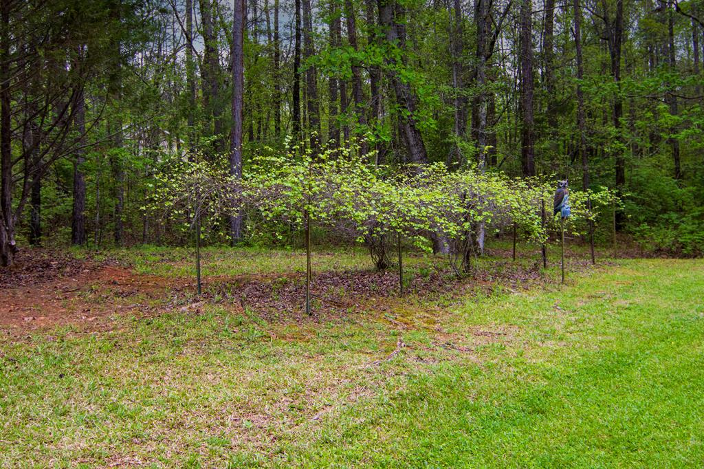 1741 Lower Blue Springs Road Hamilton, GA 31811 - Photo 65 of 94 Gallery Image 65