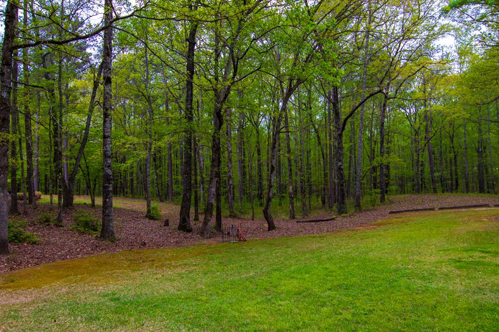 1741 Lower Blue Springs Road Hamilton, GA 31811 - Photo 66 of 94 Gallery Image 66