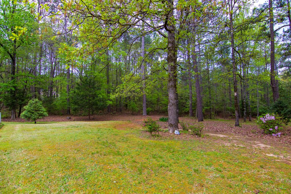 1741 Lower Blue Springs Road Hamilton, GA 31811 - Photo 67 of 94 Gallery Image 67