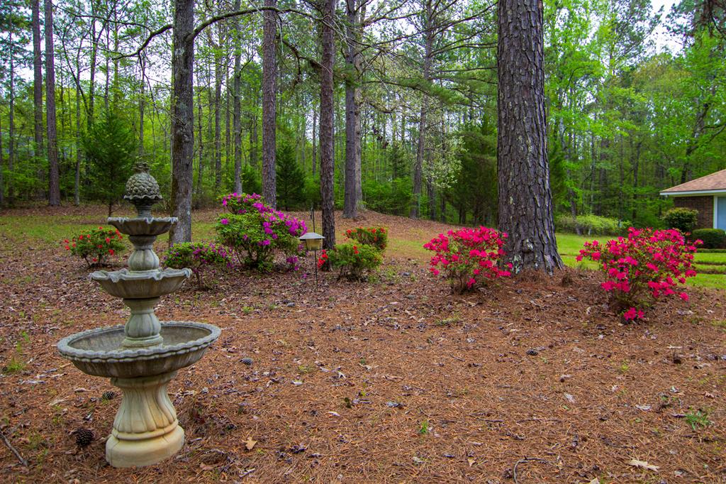 1741 Lower Blue Springs Road Hamilton, GA 31811 - Photo 68 of 94 Gallery Image 68