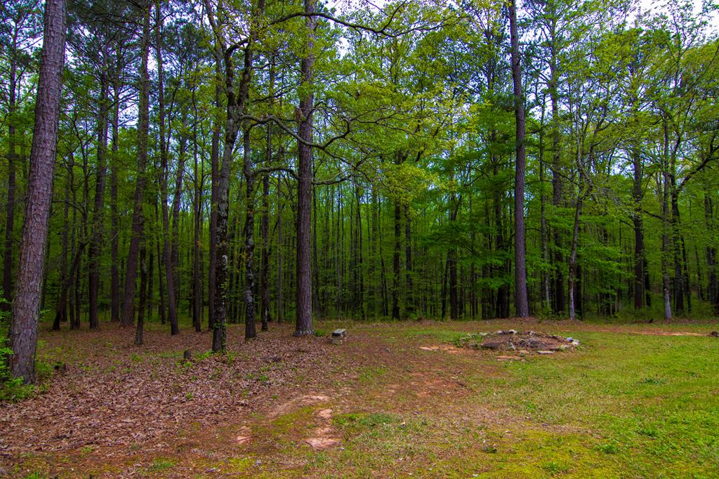 1741 Lower Blue Springs Road Hamilton, GA 31811 - Photo 69 of 94 Gallery Image 69