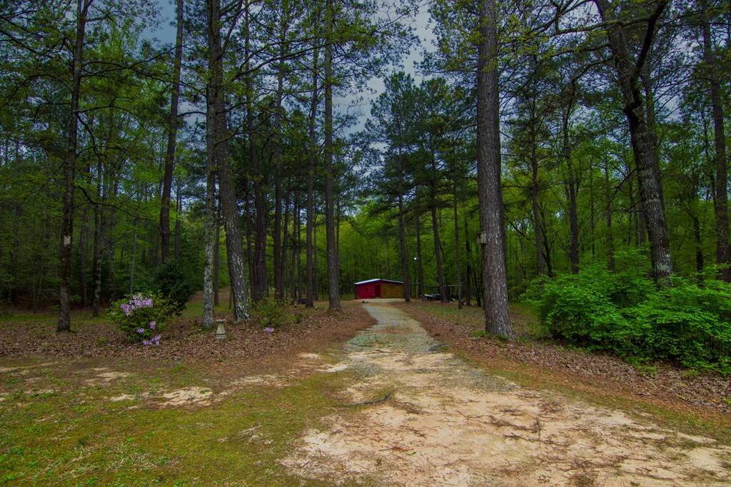 1741 Lower Blue Springs Road Hamilton, GA 31811 - Photo 70 of 94 Gallery Image 70