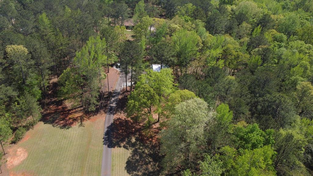 1741 Lower Blue Springs Road Hamilton, GA 31811 - Photo 7 of 94 Gallery Image 7