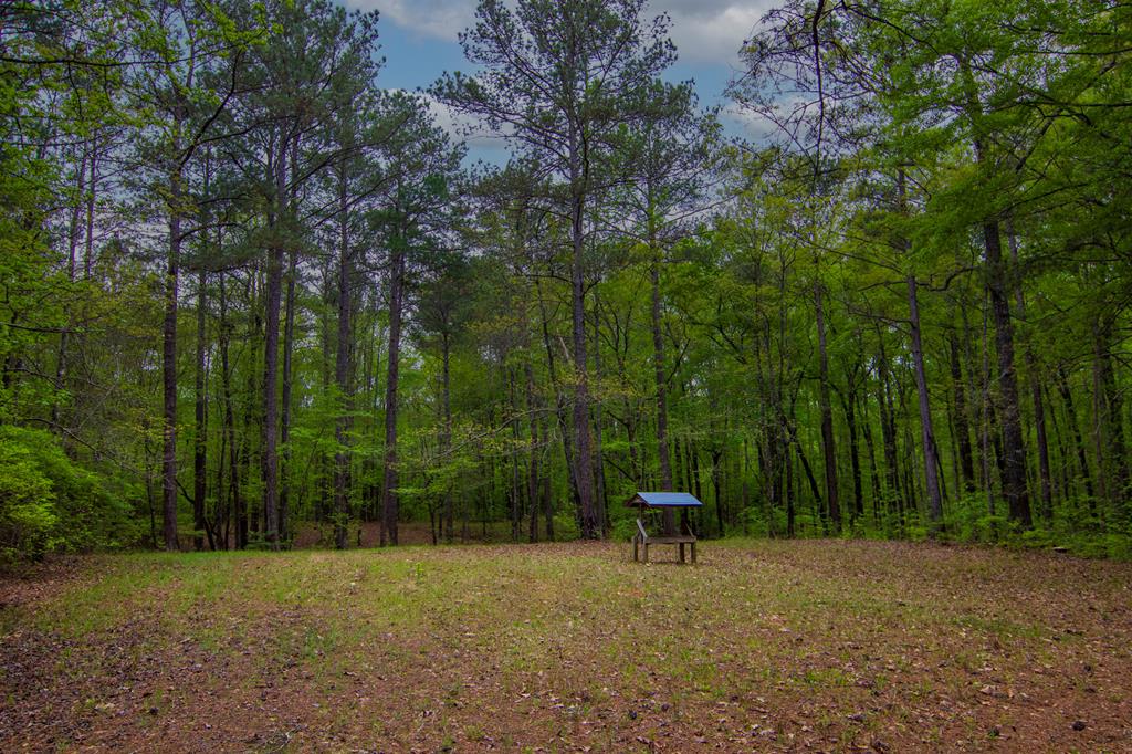 1741 Lower Blue Springs Road Hamilton, GA 31811 - Photo 82 of 94 Gallery Image 82