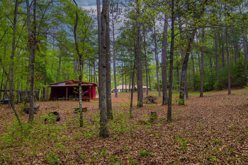 1741 Lower Blue Springs Road Hamilton, GA 31811 - Photo 86 of 94 Gallery Image 86