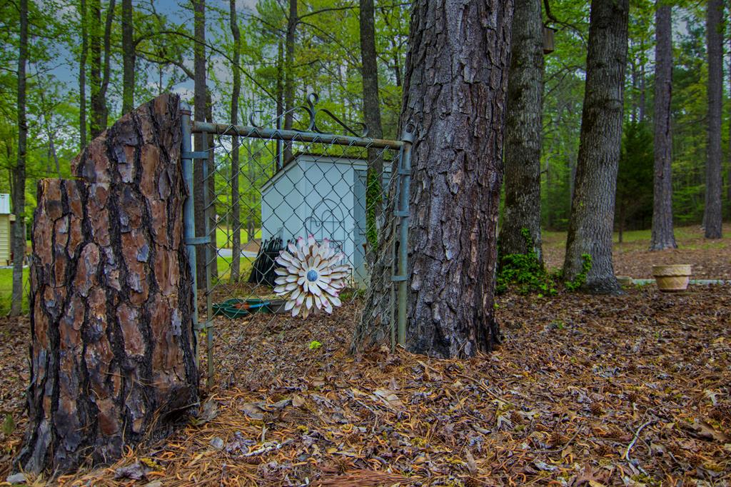 1741 Lower Blue Springs Road Hamilton, GA 31811 - Photo 87 of 94 Gallery Image 87