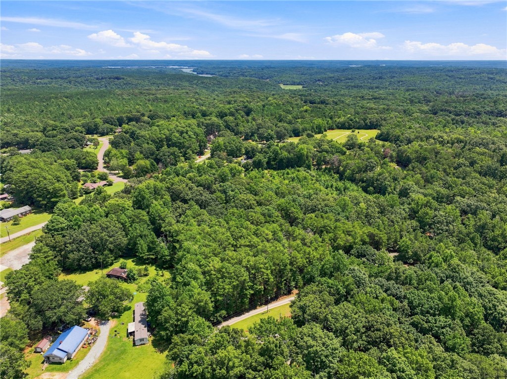 170 Singing Pines Road Seneca, SC 29678 - Photo 10 of 19 Lush green woodlands stretch across the rolling landscape under a clear blue sky.