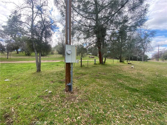 a view of a field with a trees