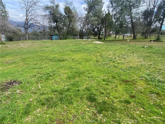 a huge green field with lots of trees