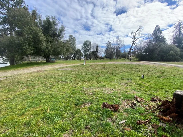 a view of a field with trees