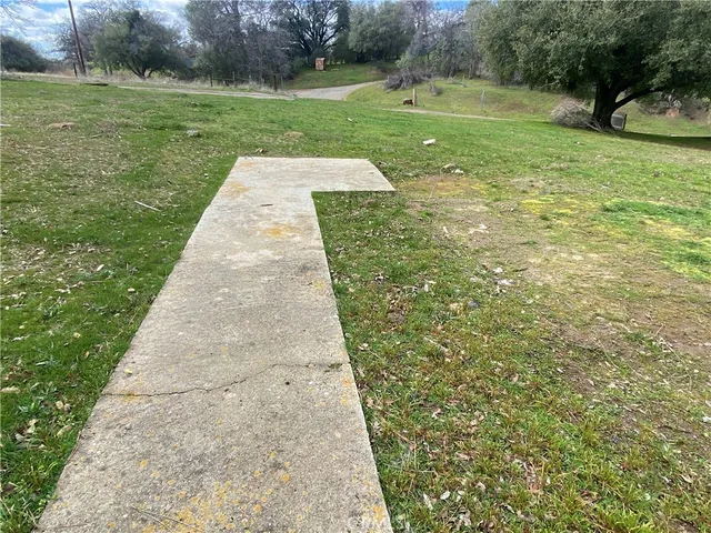 a view of a garden with a tree