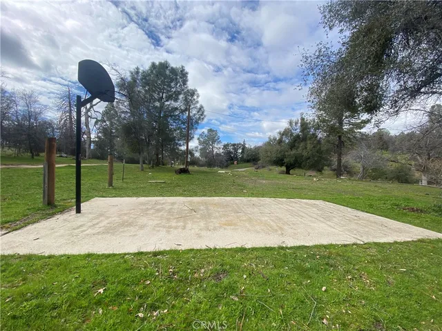 a green field with lots of trees