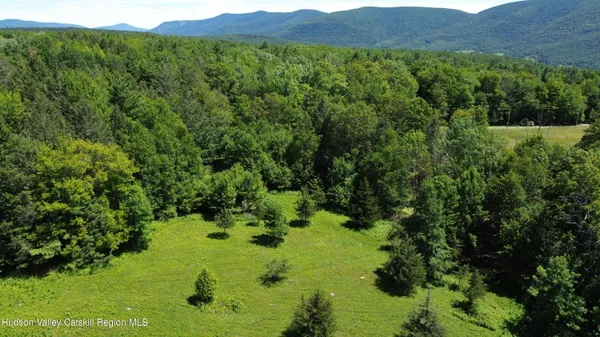 $149,000 | 0 Van Etten Road, Prattsville, NY 12468