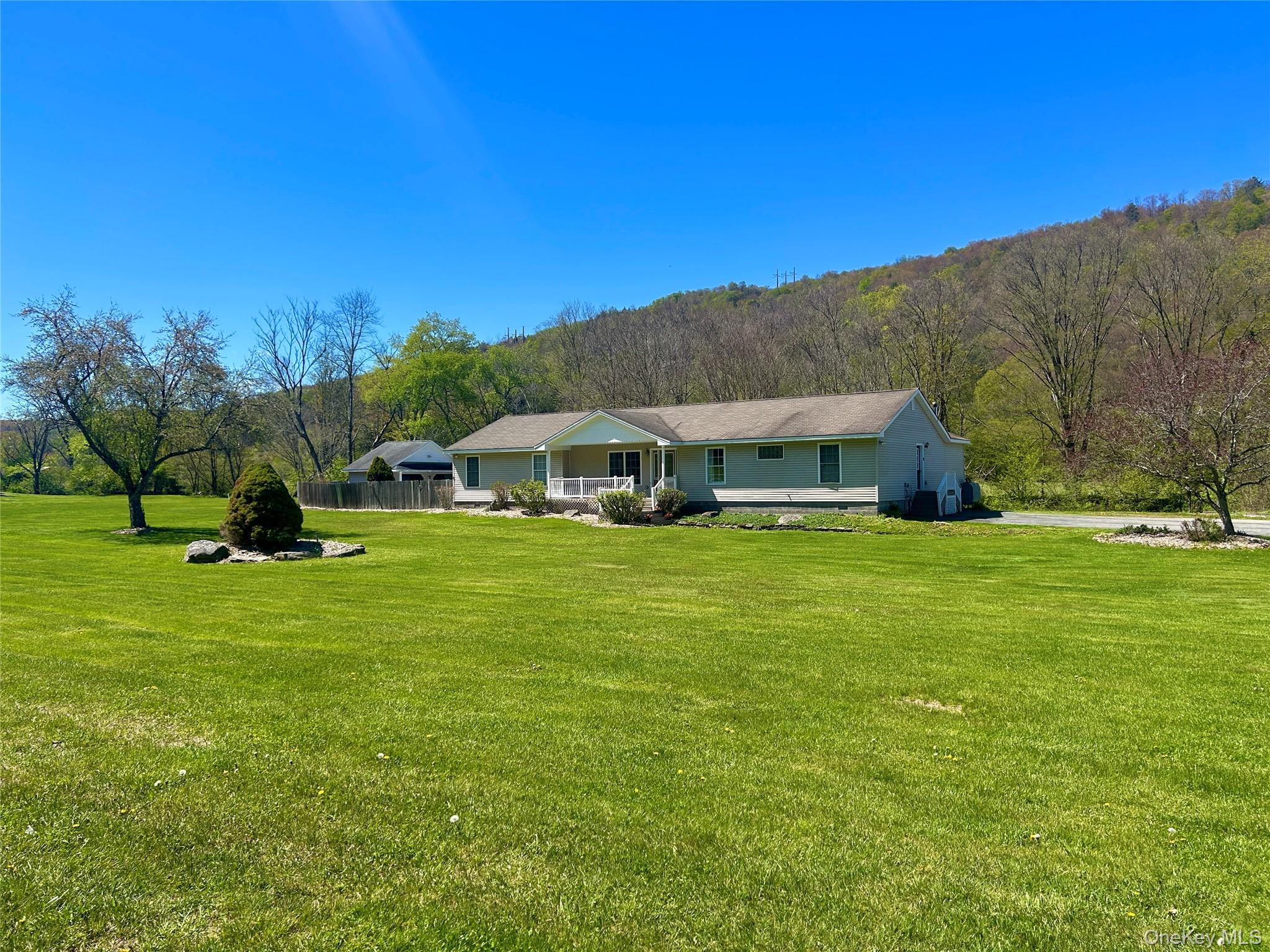 290 Gulf Road Roscoe, NY 12776 - Photo 3 of 30 a front view of house with yard and green space