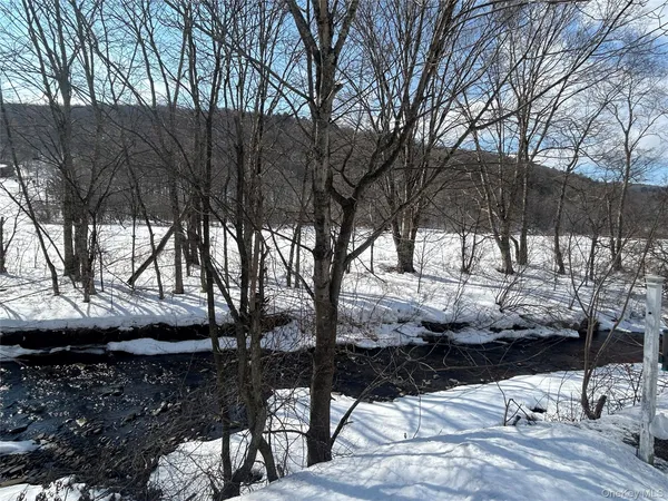 $575,000 | 290 Gulf Road, Roscoe, NY 12776