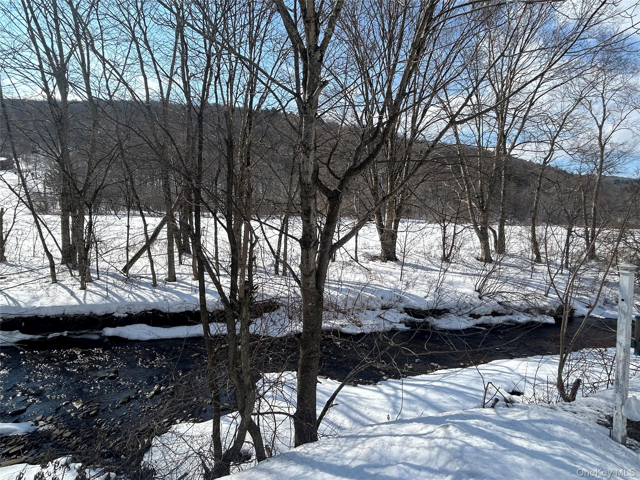 290 Gulf Road Roscoe, NY 12776 - Photo 5 of 26 Water view