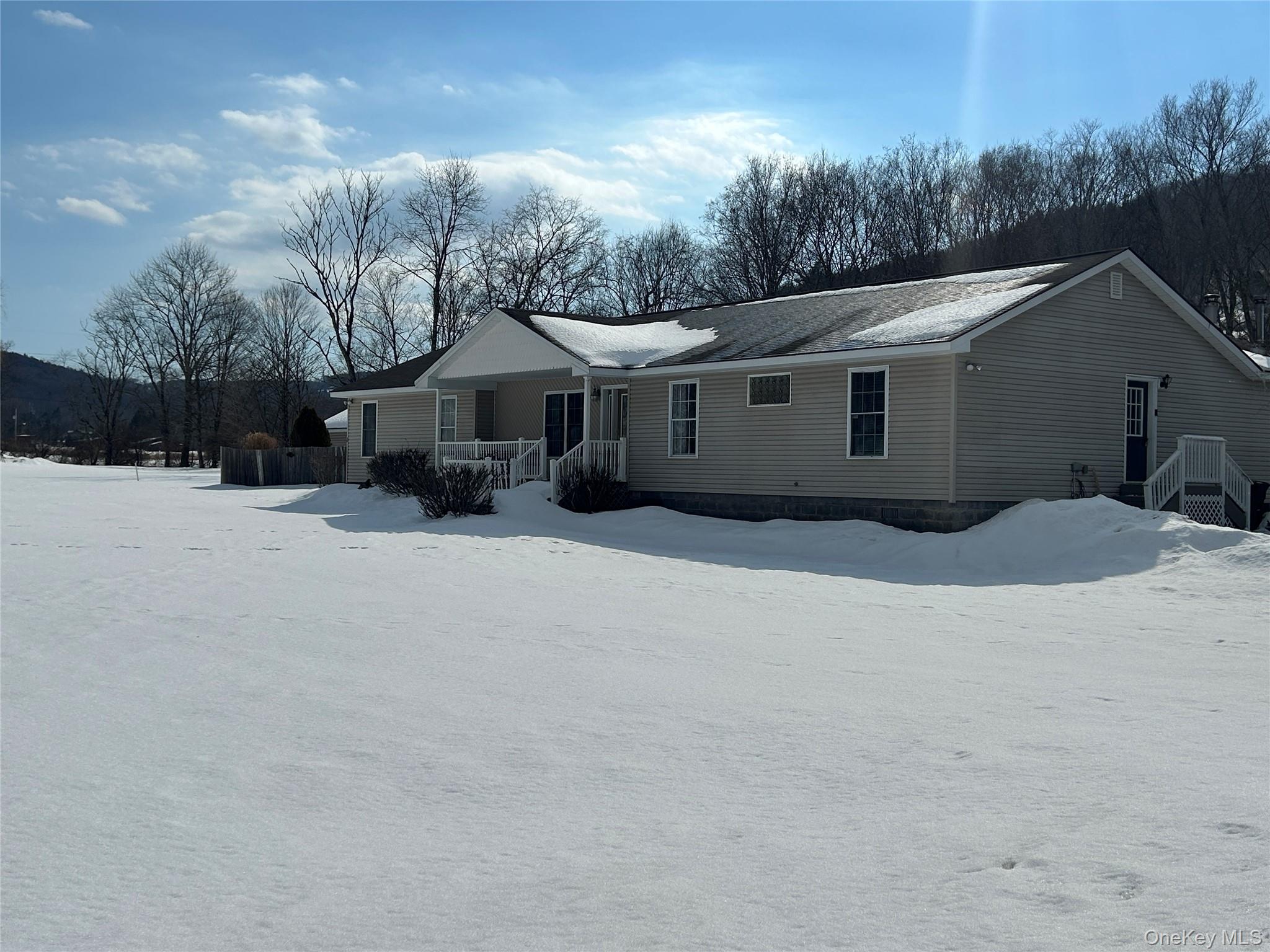 290 Gulf Road Roscoe, NY 12776 - Photo 6 of 26 Snow covered rear of property featuring a porch