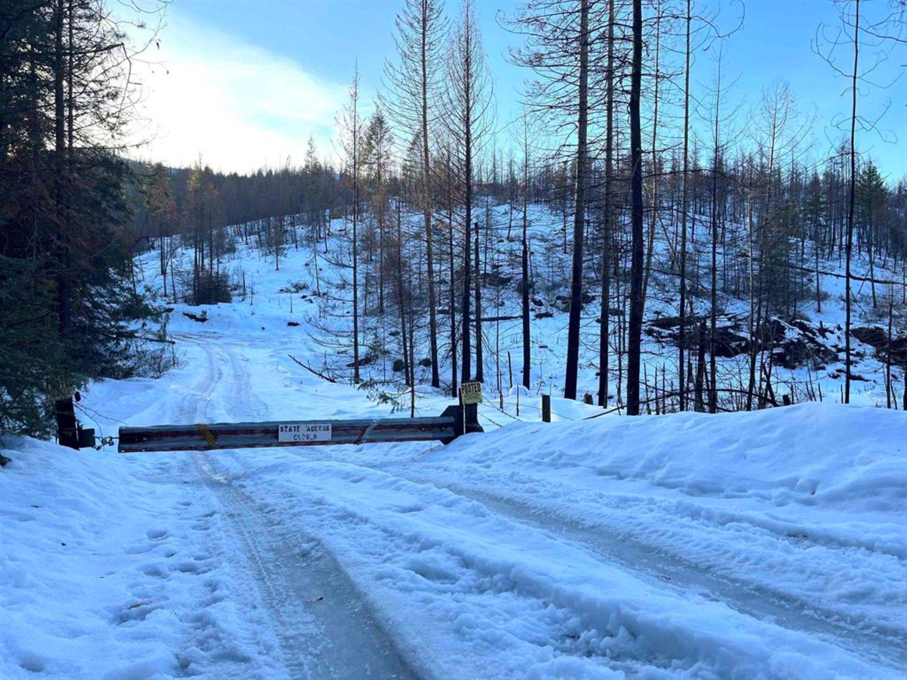 Lot 8 Rail Canyon Road Tumtum, WA 99034 - Photo 12 of 13