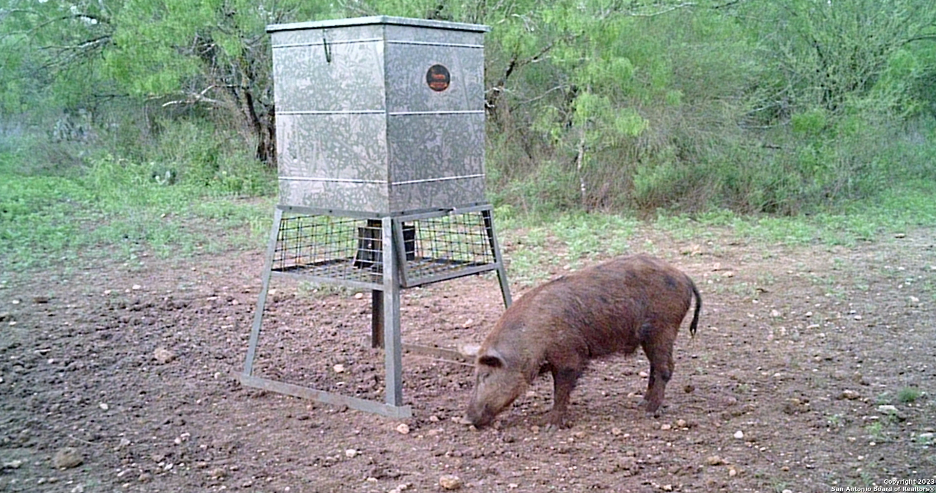 1066 Ranch Rd Highway Sabinal, TX 78881 - Photo 13 of 14 a view of a back yard