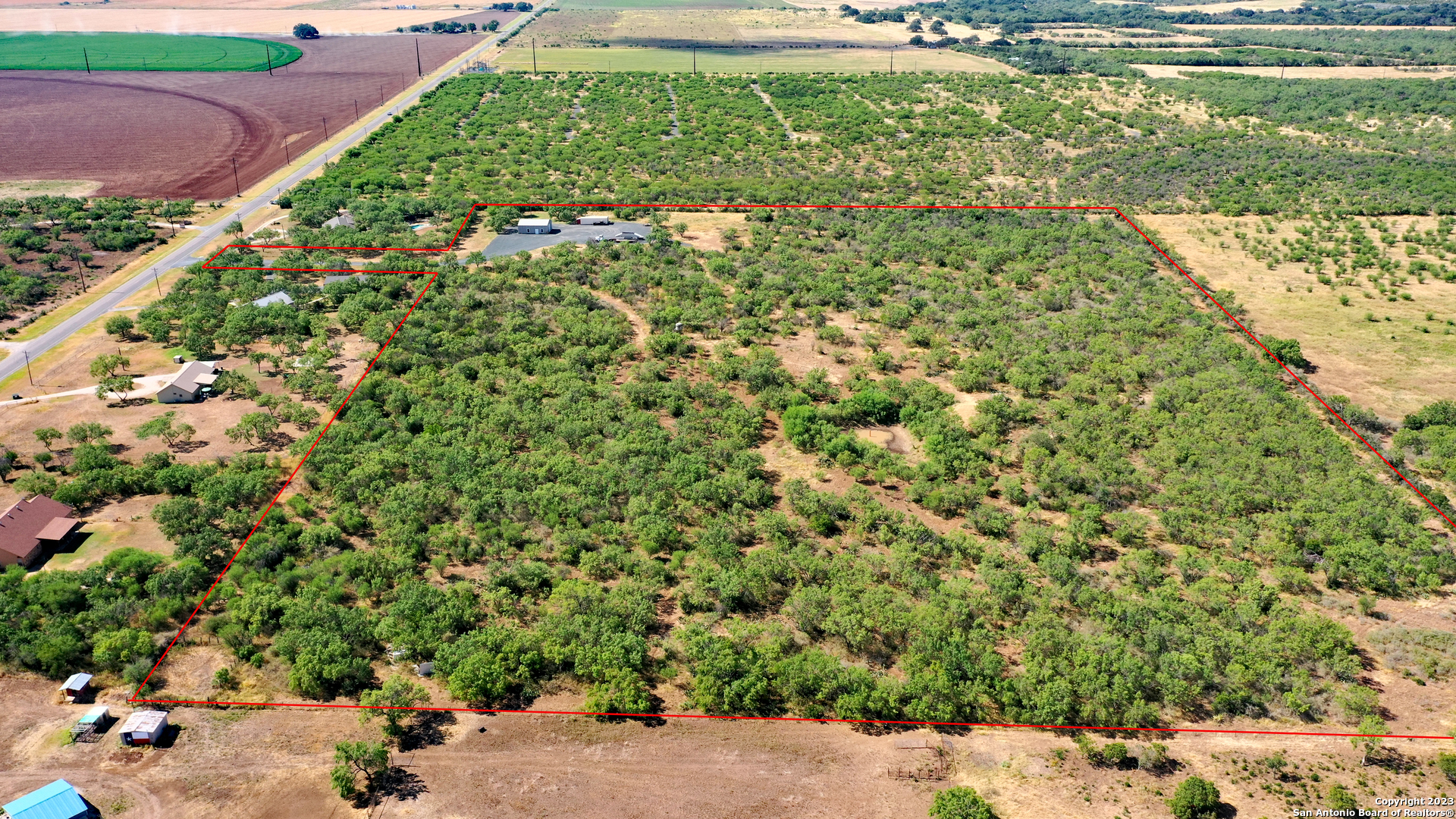 1066 Ranch Rd Highway Sabinal, TX 78881 - Photo 3 of 14 a view of a garden with a tree