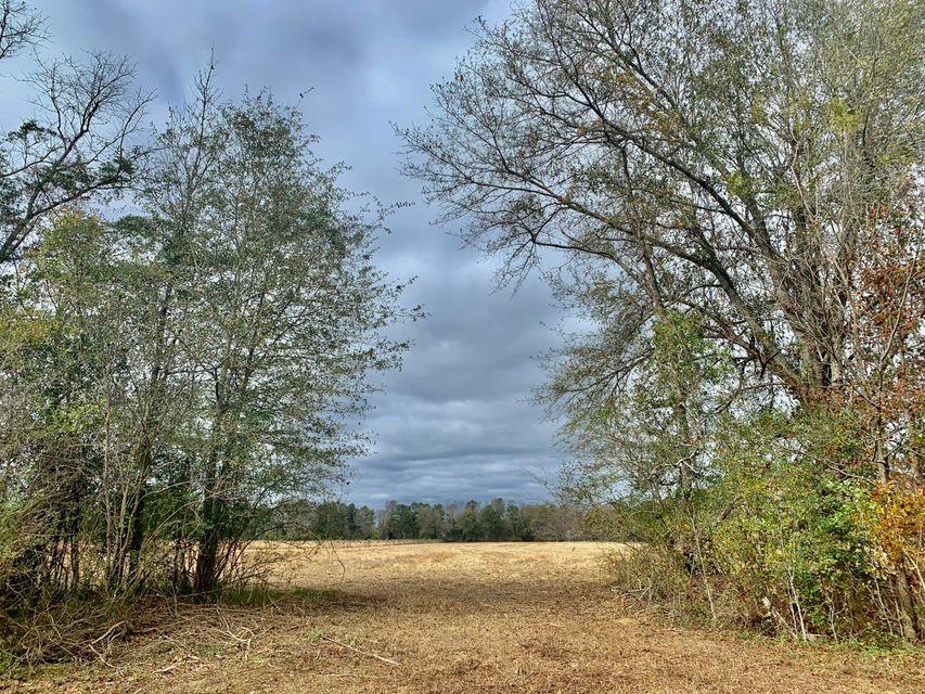 1 Friendship Road Reevesville, SC 29471 - Photo 14 of 17 20201207162418165369000000-o