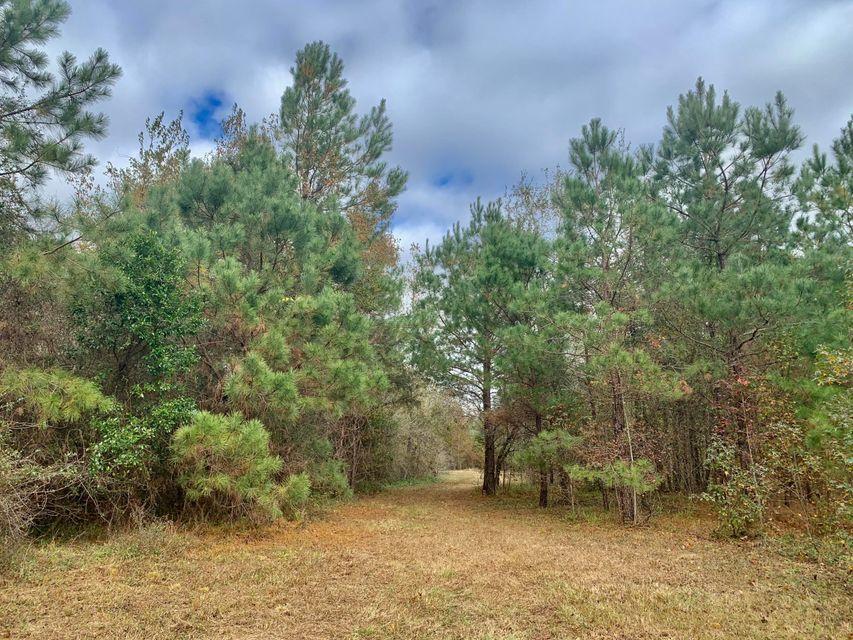 1 Friendship Road Reevesville, SC 29471 - Photo 3 of 17 20201207162529298725000000-o