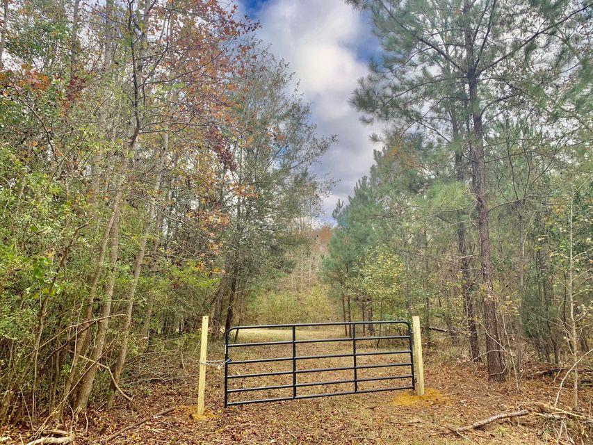 1 Friendship Road Reevesville, SC 29471 - Photo 6 of 17 20201207162453584660000000-o